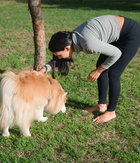 3 metodi infallibili su come insegnare al cane dove fare i bisogni