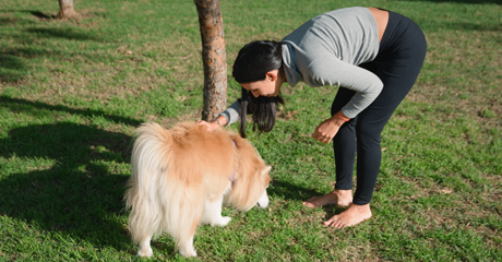 3 metodi infallibili su come insegnare al cane dove fare i bisogni