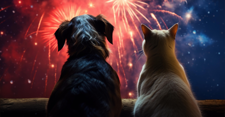 Come preparare il tuo cucciolo al Capodanno