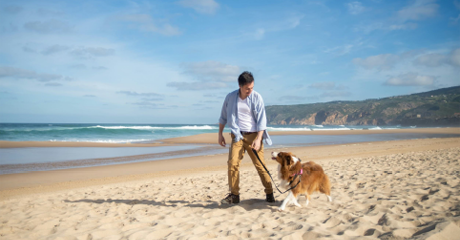 Cane su una spiaggia con il suo padrone
