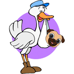 Servizi