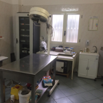 Infermeria Veterinaria